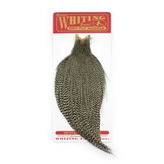 Whiting Commercial Cape Grizzly