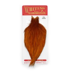 Whiting Pro Grade Cape Medium Ginger