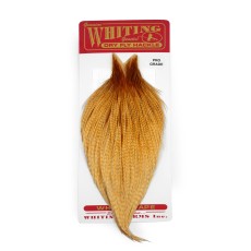 Whiting Pro Grade Cape Barred Medium Ginger