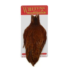 Whiting Hen Cape Brown