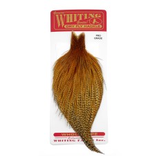 Whiting Pro Grade Cape Barred Dark Ginger