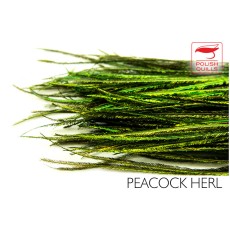 Polish Quill Peacock herl