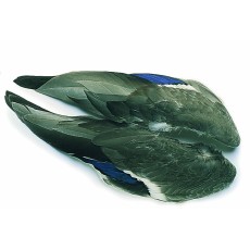 Wapsi Mallard Duck Wings