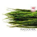 Peeacock Herl Polish Quills